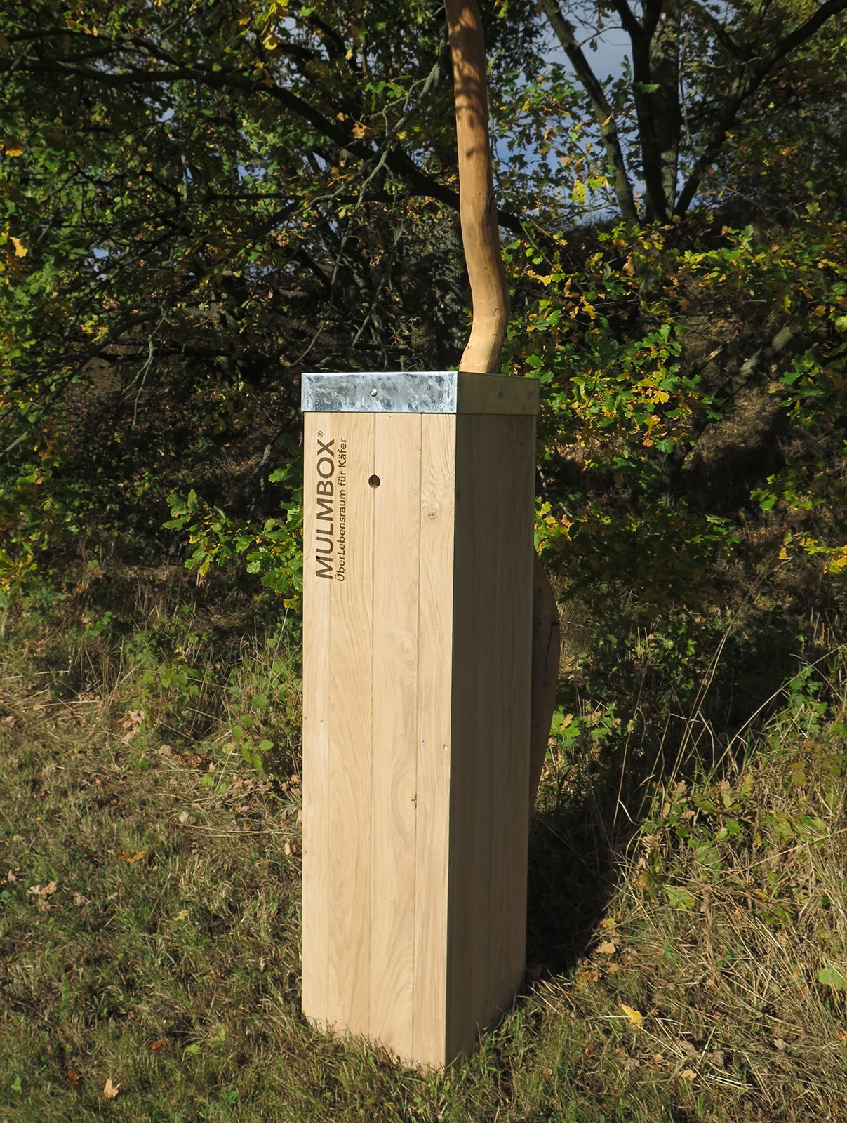 Mulmbox Mulmbox
